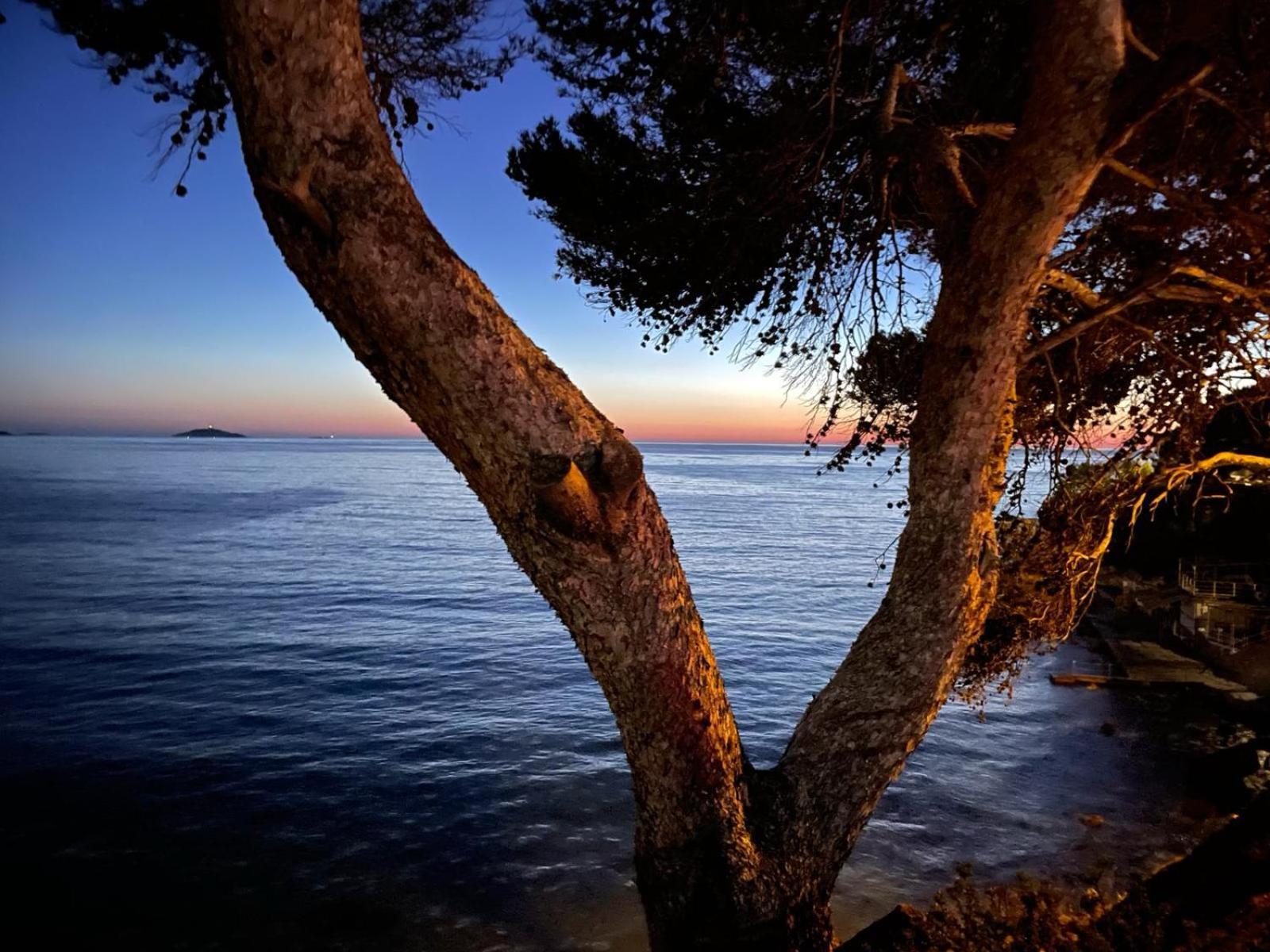 Bord De - Sur * Sanary-sur-Mer